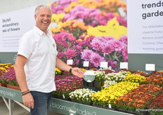 Nico laan met bolchrysantenserie PaX7 kleuren, toepasbaar in sixpack tot en met 14cm pot.